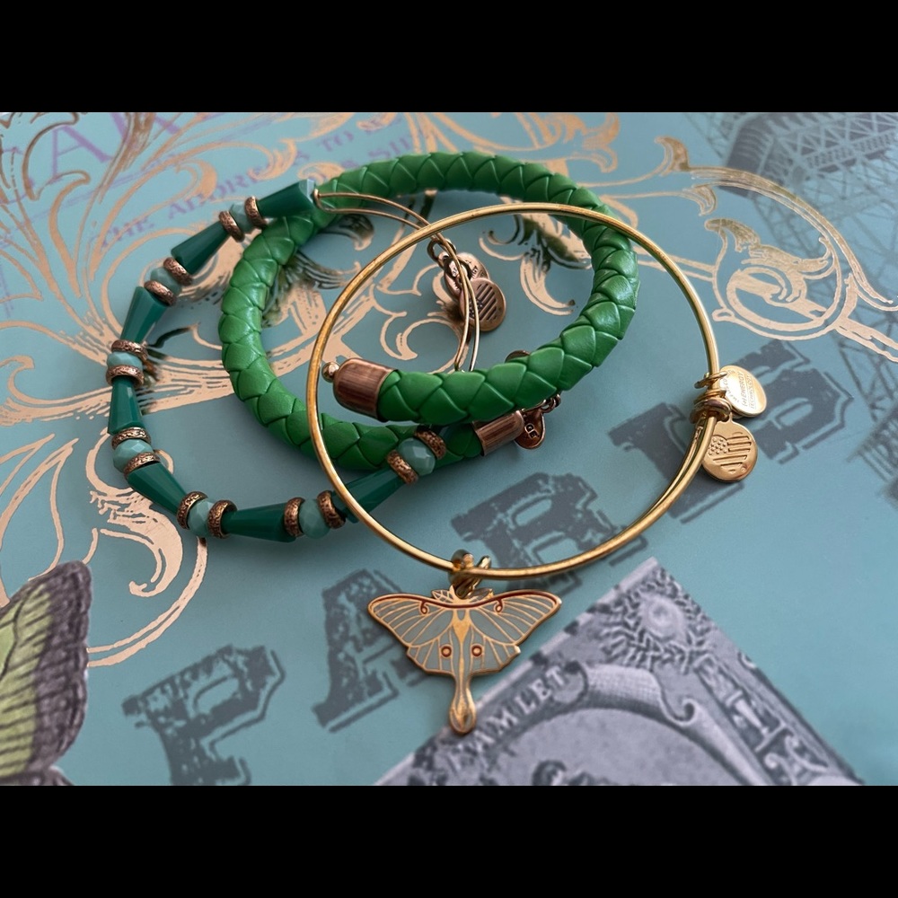 Alex and ani Luna moth set
